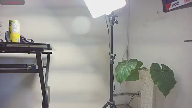 sakuramoss online show from October 2025 06:45:01 AM