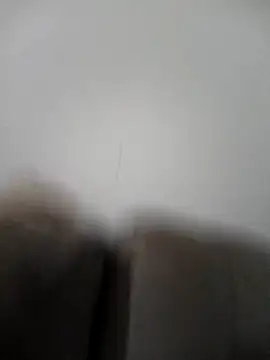 raposinharosada online show from January 2026 03:45:01 AM