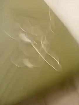 lameraverja123 online show from November 2025 11:08:02 PM