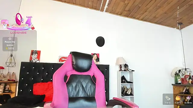 D Martii online show from November 2025 12:42:01 PM