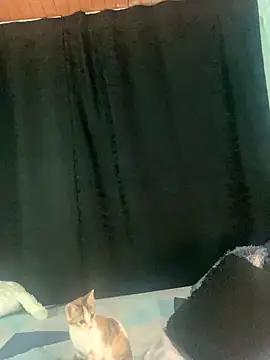 EVAH LEE  online show from September 2025 01:12:01 AM