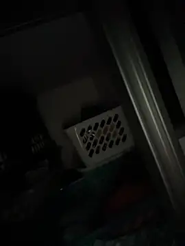 raynstars online show from November 2025 12:37:01 AM