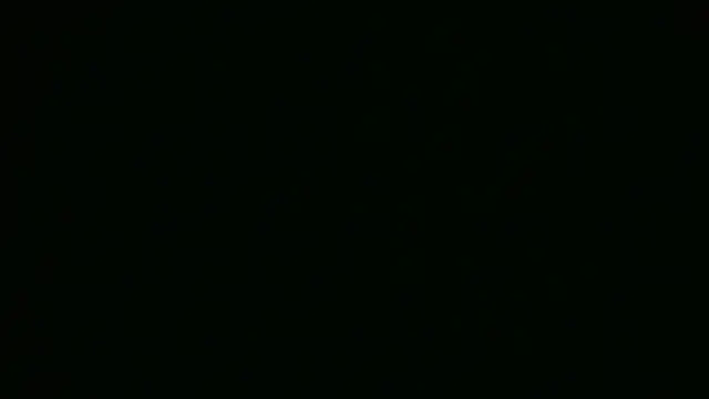 Snapshot of ch0wn_m chatting on September 2025 01:14:01 PM ch0wn m online show from September 2025 01:14:01 PM