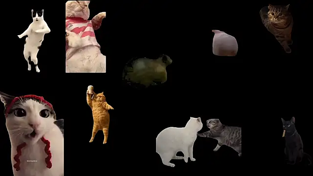ch0wn m online show from February 2026 02:59:02 PM