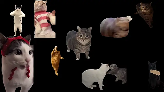 ch0wn m online show from November 2025 10:52:02 AM