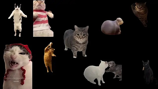 ch0wn m online show from November 2025 01:15:01 PM