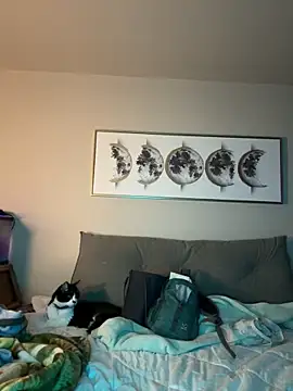 Snapshot of petalsexy chatting on November 2025 03:38:01 PM petalsexy online show from November 2025 03:38:01 PM