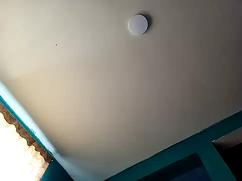 Snapshot of Ssexanal69 chatting on September 2025 07:24:02 PM Ssexanal69 online show from September 2025 07:24:02 PM