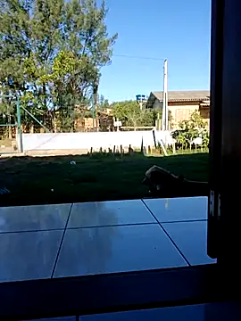 cicinha3657 online show from April 2026 06:25:02 PM