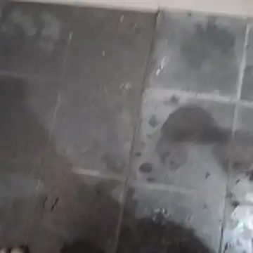 femboyslqueen online show from November 2025 04:33:02 PM