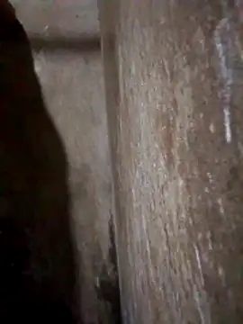 Lujor online show from March 2026 11:40:01 PM