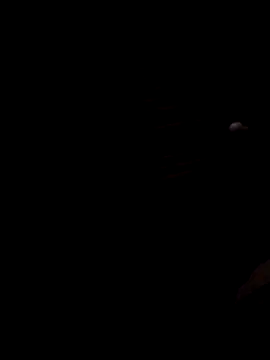 Lujor online show from November 2025 02:23:02 AM