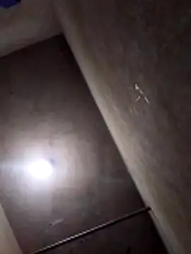 Lujor online show from April 2026 12:34:02 AM