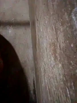 Lujor online show from March 2026 11:43:01 PM