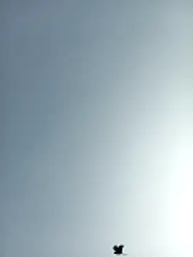 amitkumarkangra online show from December 2025 07:00:02 AM