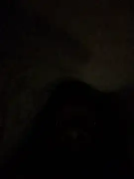 cuminsidebby online show from July 2026 12:22:02 AM