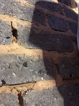 cuminsidebby online show from February 2026 06:19:01 PM