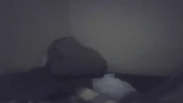 cuminsidebby online show from February 2026 08:28:02 PM