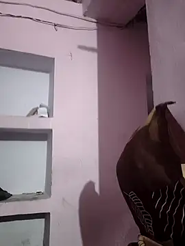 Snapshot of sexykrisha chatting on November 2025 03:32:02 AM sexykrisha online show from November 2025 03:32:02 AM