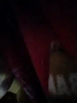 bb empress online show from September 2025 05:00:01 PM