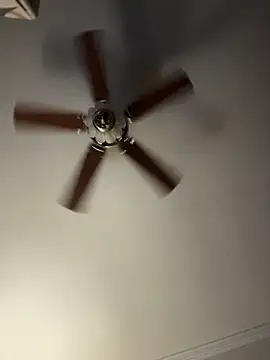 bb empress online show from December 2025 09:43:01 AM