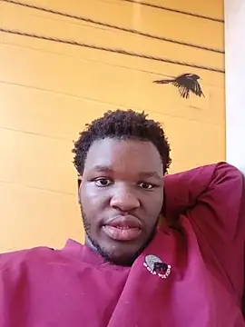 Snapshot of niccobigd chatting on May 2026 01:22:01 PM niccobigd online show from May 2026 01:22:01 PM