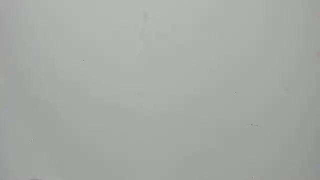 invincible200 online show from September 2025 01:55:01 PM