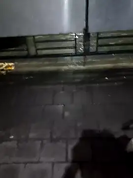 Snapshot of boysxx chatting on October 2025 08:06:02 PM boysxx online show from October 2025 08:06:02 PM