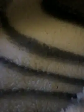 Simon-xx online show from February 2026 03:40:02 AM