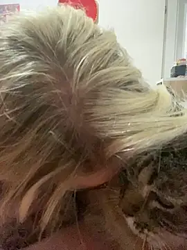 Snapshot of Alerquinasc chatting on September 2025 03:21:01 AM Alerquinasc online show from September 2025 03:21:01 AM