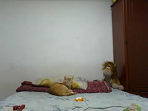 MeganAndMaxxh online show from October 2025 12:33:02 AM