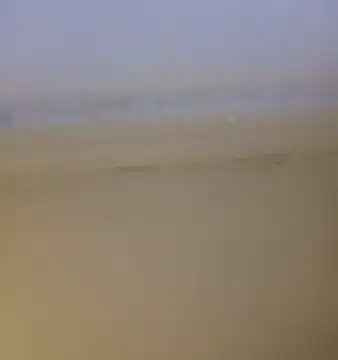 ramesh65 online show from January 2026 08:34:01 PM