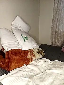 WaiterZim online show from January 2026 05:27:02 PM