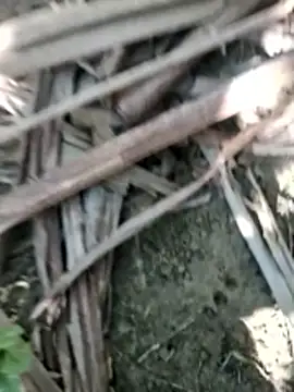 Real Sucker online show from November 2025 04:56:02 AM