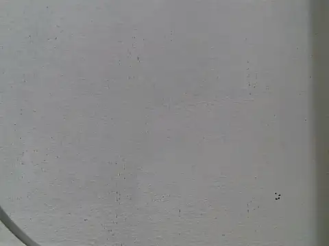 Jelloshane online show from February 2026 03:33:01 PM