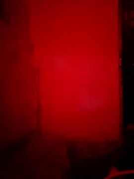 sweetsinisabella online show from October 2025 09:11:02 AM