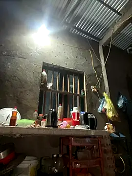 Sunny lotus online show from November 2025 03:15:01 PM