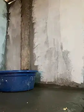 Sunny lotus online show from April 2026 05:19:01 AM