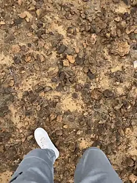 Snapshot of Manu97k chatting on March 2026 03:16:02 PM Manu97k online show from March 2026 03:16:02 PM