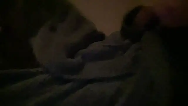 peterpapiNL online show from March 2026 07:16:01 PM