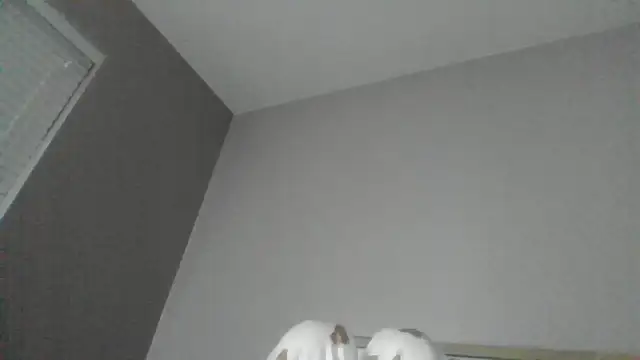 SexyKatiex online show from December 2025 09:49:01 PM