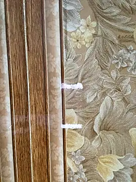 Julia-Elsa online show from November 2025 03:55:01 AM