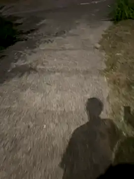 Snapshot of Foxfoxfox4 chatting on October 2025 01:02:01 PM Foxfoxfox4 online show from October 2025 01:02:01 PM