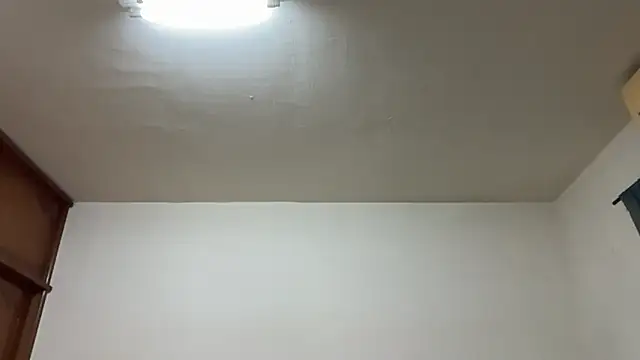 Foxfoxfox4 online show from February 2026 03:01:02 PM