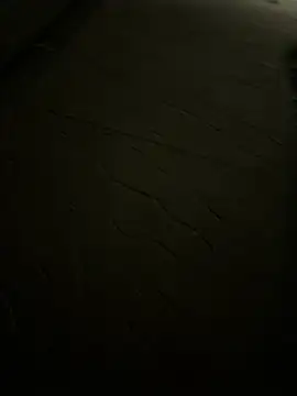 Foxfoxfox4 online show from March 2026 04:08:02 PM