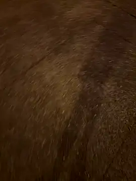 Foxfoxfox4 online show from November 2025 01:00:02 PM