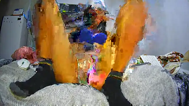 apoloniabelucci online show from November 2025 12:53:02 PM