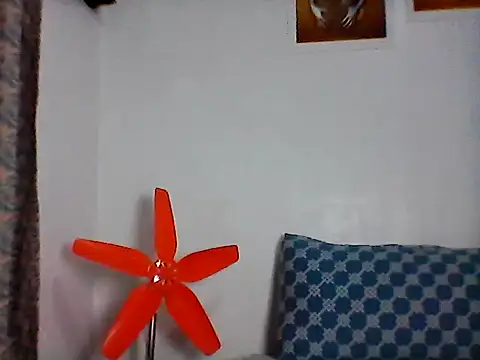 nhayasquirt online show from October 2025 09:30:02 AM