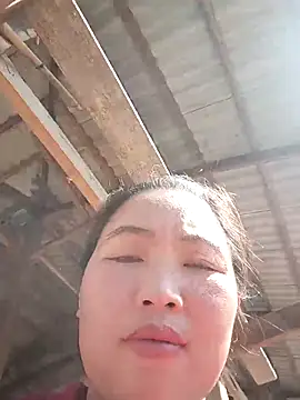 PhamPhung online show from November 2025 06:14:01 AM