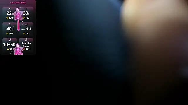 Snapshot of PIINK_2025 chatting on January 2026 05:06:01 PM PIINK 2025 online show from January 2026 05:06:01 PM